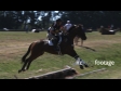 Equestrian Horse Jumping 2 OFFSPEED 1700